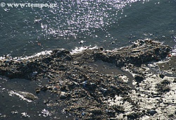 Η παραλία του Σχοινιά θαμμένη κυριολεκτικά στα σκουπίδια...