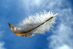 Φτερό στον άνεμο…