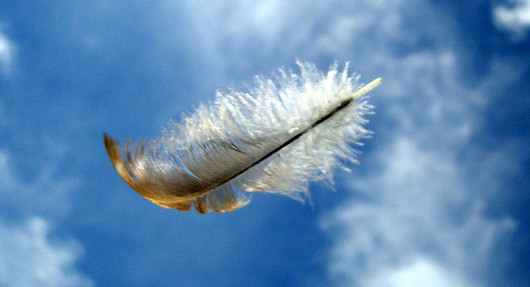 Φτερό στον άνεμο…
