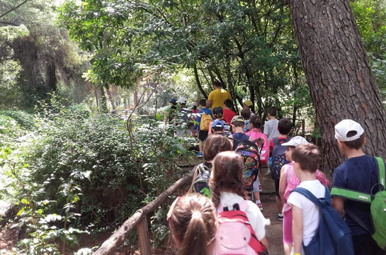 «Μορφές Έκφρασης»: Summer Camp 2019 στον Βοτανικό Κήπο Χαϊδαρίου