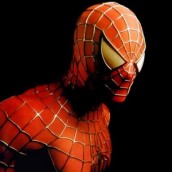 spiderman_73455b